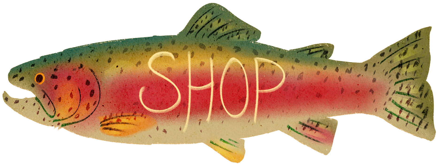 A colourful illustration of a rainbow trout facing left, with the word “shop” written on it’s side.