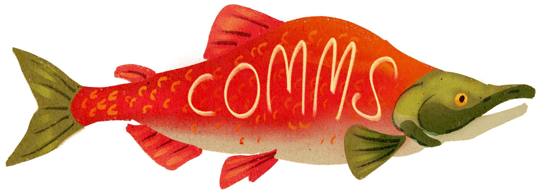A colourful illustration of a sockeye salmon facing right, with the word “comms” written on it’s side.